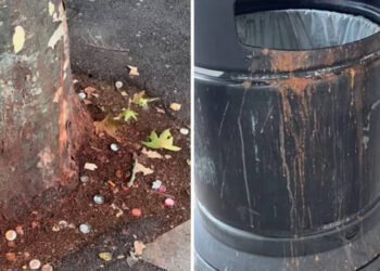 പൊതുസ്ഥലത്ത് പാൻ മസാല തുപ്പി; ലണ്ടനിൽ രണ്ട് ഇന്ത്യക്കാർക്ക് പിഴ ചുമത്തി ബ്രിട്ടീഷ് കോടതി 6 British court fines two Indians in London for spitting pan masala in public