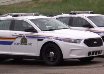 Dr. മൈ ഡിയാബ് കൊലക്കേസ്: രണ്ട് പേർ പിടിയിൽ; സാമ്പത്തിക ലാഭത്തിനായി നടത്തിയ ആസൂത്രിതമെന്ന് പോലീസ് 5 car