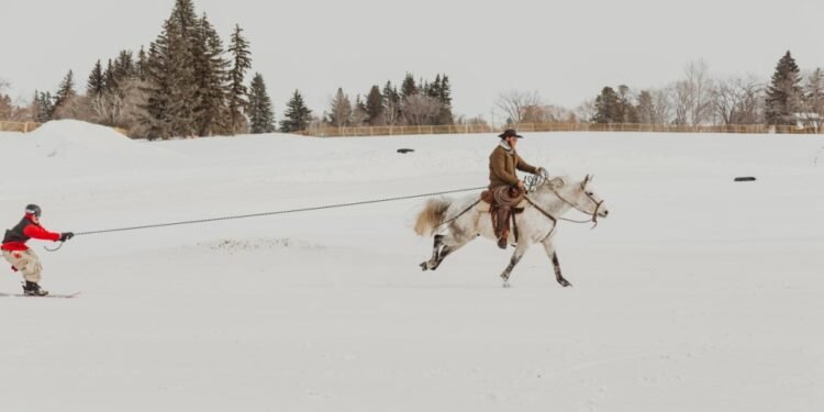 കുതിരകൾക്കൊപ്പം മഞ്ഞിലൂടെ പറക്കാം; സാസ്‌കാറ്റൂണിൽ വിസ്മയമായി ‘സ്കീജോറിംഗ്’ മേള