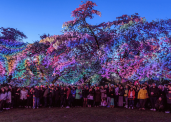 Vancouver Cherry Blossom Festival