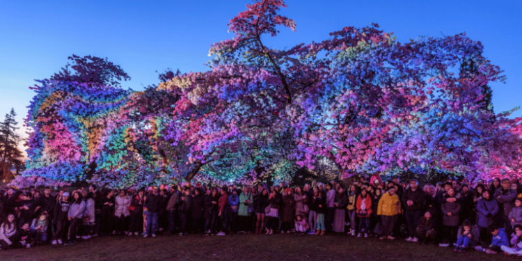Vancouver Cherry Blossom Festival