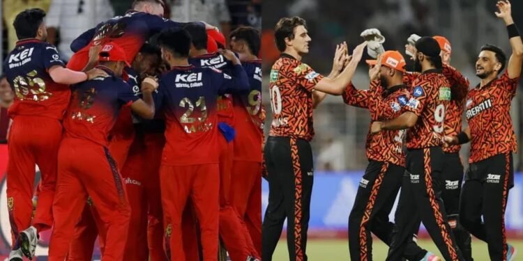 ഐപിഎൽ 19-ാം സീസണിന് ഇന്ന് കൊടിയേറ്റം; കിരീടം നിലനിര്ത്താന് ആര്സിബി, ആദ്യ മത്സരം ഹൈദരാബാദിനെതിരെ 1 ഐപിഎൽ 19-ാം സീസണിന് ഇന്ന് കൊടിയേറ്റം; കിരീടം നിലനിര്ത്താന് ആര്സിബി, ആദ്യ മത്സരം ഹൈദരാബാദിനെതിരെ