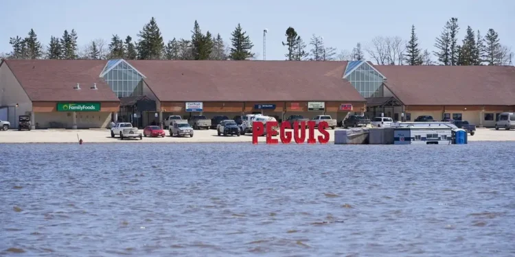 പ്രളയഭീതിയിൽ മനിറ്റോബ; പെഗ്വിസ് ഫസ്റ്റ് നേഷന് കൈത്താങ്ങായി ഫെഡറൽ സർക്കാർ 1 Manitoba's largest First Nation is calling for help from the Canadian Armed Forces as it prepares for another devastating flood