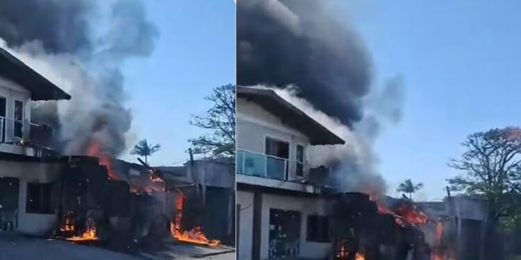 റസ്റ്ററന്റിന് മുകളിലേക്ക് വിമാനം തകർന്നു വീണു; നാല് മരണം; നടുക്കുന്ന വീഡിയോ പുറത്ത് 1 റസ്റ്ററന്റിന് മുകളിലേക്ക് വിമാനം തകർന്നു വീണു; നാല് മരണം; നടുക്കുന്ന വീഡിയോ പുറത്ത്