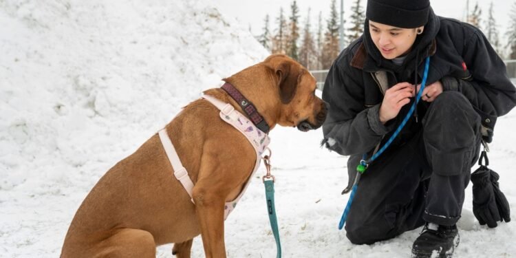 മൃഗസംരക്ഷണ നിയമം കടുപ്പിച്ച് ആൽബർട്ട; കുറ്റവാളികൾക്ക് 2.5 ലക്ഷം ഡോളർ വരെ പിഴയും ജയിൽശിക്ഷയും 1 Alberta tightens animal protection laws.