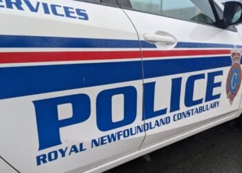 NL Police