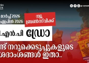 NBPNP, AIP ഡ്രോ: വിവിധ വിഭാഗങ്ങളിലായി 143 പേർക്ക് അപേക്ഷാ ക്ഷണം, നറുക്കെടുപ്പിന്റെ വിശദാംശങ്ങൾ ഇതാ!