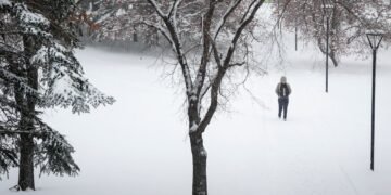 കാലാവസ്ഥ മുന്നറിയിപ്പ്; ആൽബർട്ടയിൽ 30 സെ.മീ വരെ മഞ്ഞുവീഴ്ചയ്ക്ക് സാധ്യത 2 snow