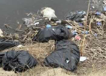 പുഴയിൽ തള്ളിയ മാലിന്യപ്പൊതികൾ പൊലീസുകാരൻ ‘തൂക്കിയെടുത്തു’; പ്രതികൾക്കായി വലവിരിച്ച് കേപ്പ് ബ്രെട്ടൺ!