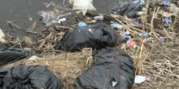 പുഴയിൽ തള്ളിയ മാലിന്യപ്പൊതികൾ പൊലീസുകാരൻ ‘തൂക്കിയെടുത്തു’; പ്രതികൾക്കായി വലവിരിച്ച് കേപ്പ് ബ്രെട്ടൺ!