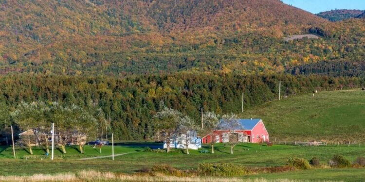 വിദേശികൾക്ക് പച്ചക്കൊടി വീശി കാനഡ; ഗ്രാമങ്ങളിൽ തൊഴിൽ അവസരങ്ങൾ കൂടുന്നു; നിയമങ്ങളിൽ ഇളവുമായി പ്രവിശ്യകൾ 1 വിദേശികൾക്ക് പച്ചക്കൊടി വീശി കാനഡ; ഗ്രാമങ്ങളിൽ തൊഴിൽ അവസരങ്ങൾ കൂടുന്നു; നിയമങ്ങളിൽ ഇളവുമായി പ്രവിശ്യകൾ