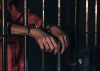 അമേരിക്കയിൽ നിന്ന്  ലഹരിക്കടത്ത്, പിടിച്ചെടുത്തത് 108 കിലോ മയക്കുമരുന്ന്; കാനഡയിൽ ഇന്ത്യൻ  റേഡിയോ അവതാരകയ്ക്ക് തടവുശിക്ഷ