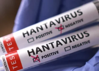 HANTAVIRUS