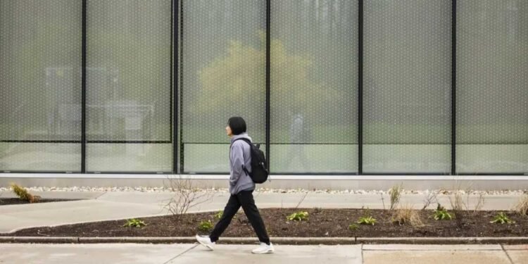 How Ontario colleges are struggling to attract international students after visa changes