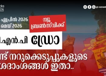 NBPNP, AIP ഡ്രോ: 2026 ഏപ്രിൽ 30 മുതൽ മെയ് 3 വരെ നടന്ന നറുക്കെടുപ്പുകളുടെ വിശദംശങ്ങൾ അറിയാം