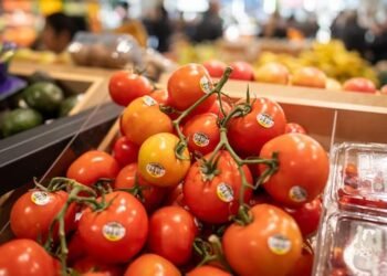 Tomatoes 'out' of dishes; Restaurants unable to afford price hike, consumers in crisis