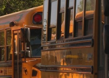 Calgary to boost school budget with more teachers, new schools opening