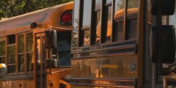 Calgary to boost school budget with more teachers, new schools opening