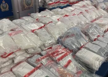 Massive drug bust in Manitoba: 33 people arrested, those arrested have links to international criminal gangs