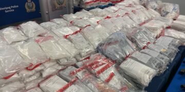 Massive drug bust in Manitoba: 33 people arrested, those arrested have links to international criminal gangs