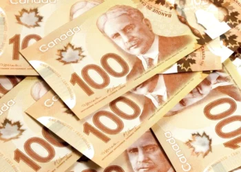 New grocery benefit in Canada from June 5; Who will get how much? Know