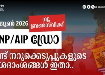 NBPNP/AIP ഡ്രോ: 2026 ജൂൺ 3, 4 തീയതികളിലായി നടന്ന നറുക്കെടുപ്പിന്റെ വിശദാംശങ്ങൾ അറിയാം! 10 NBPNP/AIP ഡ്രോ: 2026 ജൂൺ 3, 4 തീയതികളിലായി നടന്ന നറുക്കെടുപ്പിന്റെ വിശദാംശങ്ങൾ അറിയാം!
