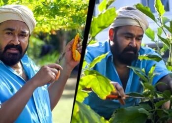 'Aren't you a farmer, sir? I came to harvest some...'; Mohanlal shares details of farming that started during the lockdown