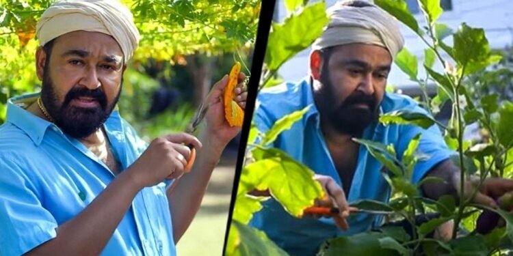 'Aren't you a farmer, sir? I came to harvest some...'; Mohanlal shares details of farming that started during the lockdown