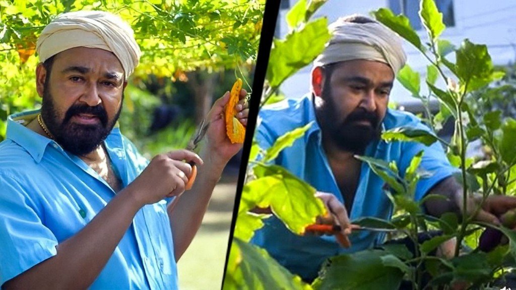 'Aren't you a farmer, sir? I came to harvest some...'; Mohanlal shares details of farming that started during the lockdown