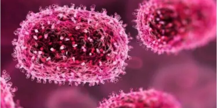 After Shigella, monkeypox confirmed in Thiruvananthapuram; Health Department steps up preventive measures