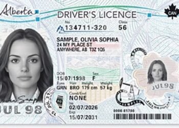 Alberta government to introduce significant changes to driver's licenses and ID cards