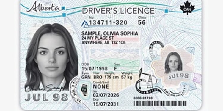 Alberta government to introduce significant changes to driver's licenses and ID cards