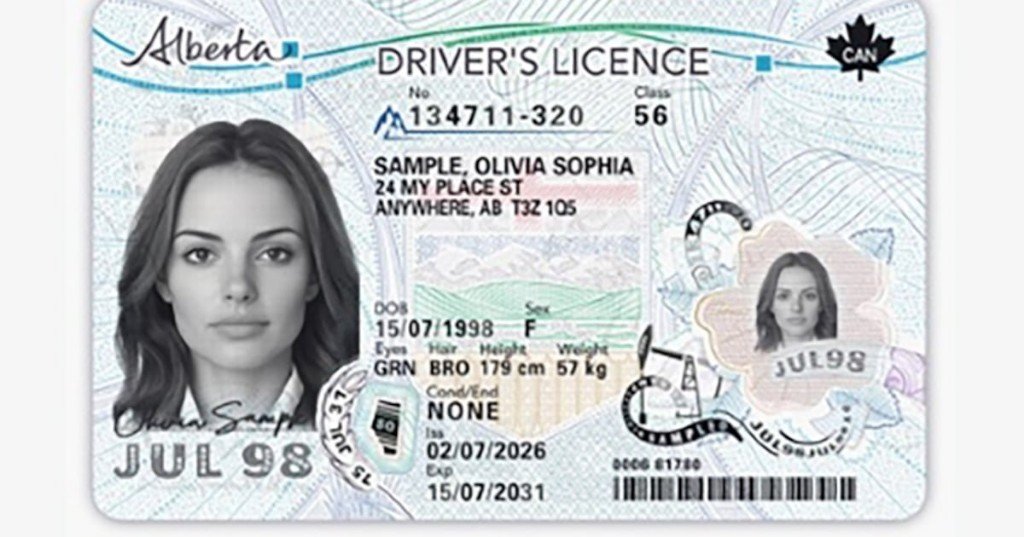 Alberta government to introduce significant changes to driver's licenses and ID cards