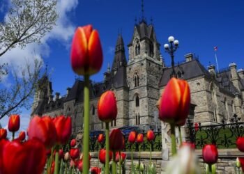 Canada House of Commons passes bill making sterilization without consent a serious crime