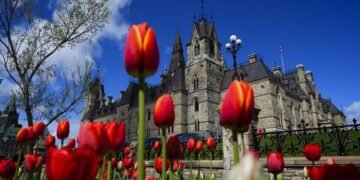 Canada House of Commons passes bill making sterilization without consent a serious crime