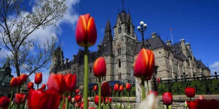 Canada House of Commons passes bill making sterilization without consent a serious crime