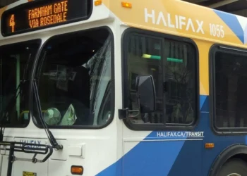 bus