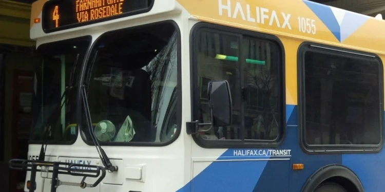 bus