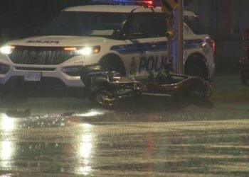 A four-year-old girl died after she was hit by a Jeep after running into a north Edmonton street.