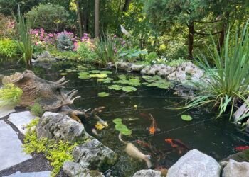 Niagara-on-the-Lake garden tour celebrates creativity, community and well-being