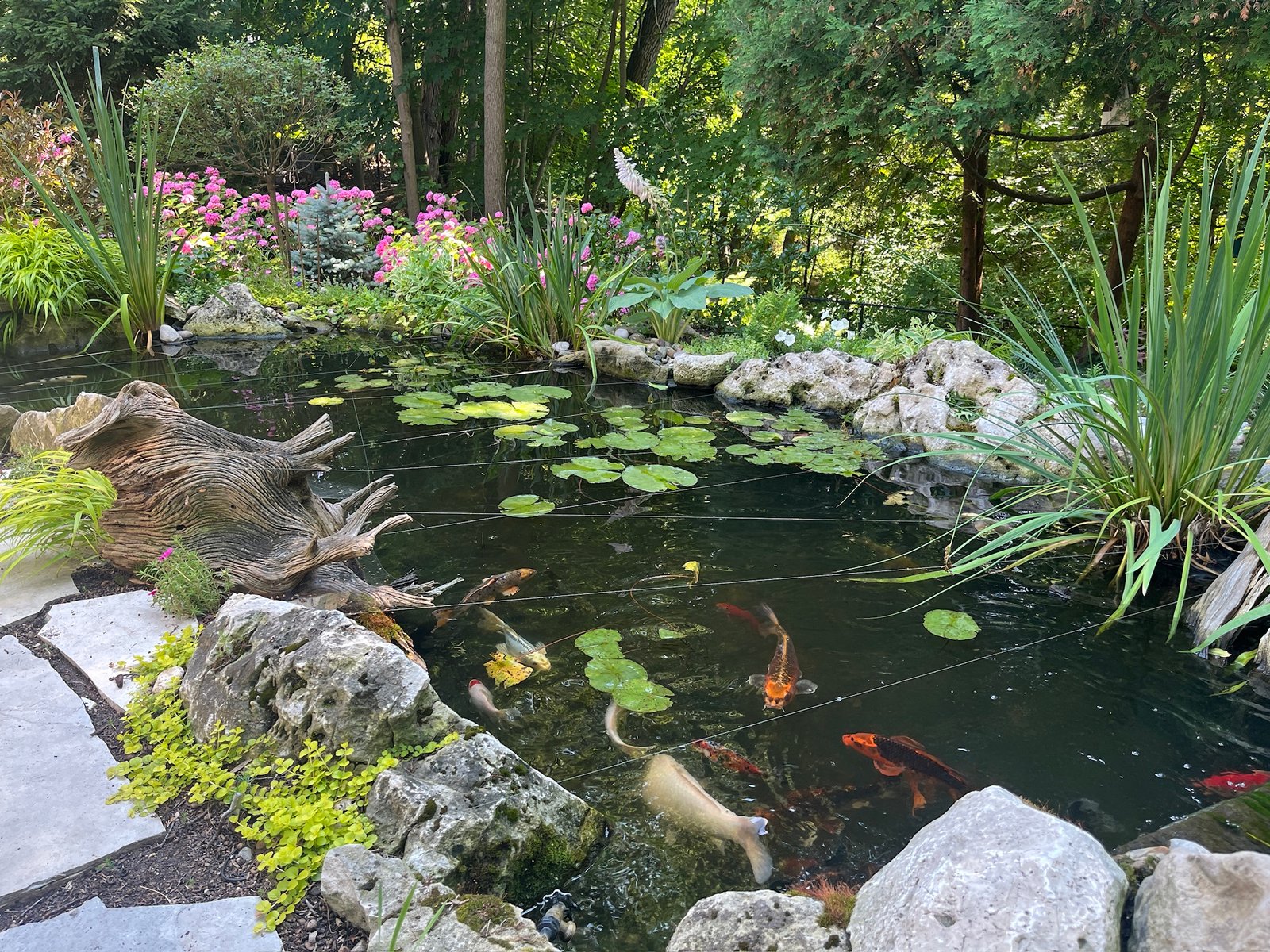 Niagara-on-the-Lake garden tour celebrates creativity, community and well-being