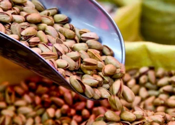 Canada’s salmonella outbreak from pistachios over, but Iran import ban remains