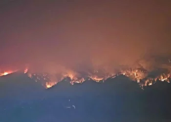 ആളിപ്പടർന്ന് കാട്ടുതീ: ഗ്രീൻ ലേക്ക് മേഖലയിൽ നിന്ന് കൂടുതൽ പേരെ ഒഴിപ്പിക്കുന്നു 1 Pear Lake wildfire