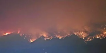 Pear Lake wildfire