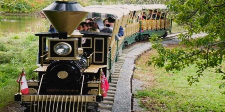 Train