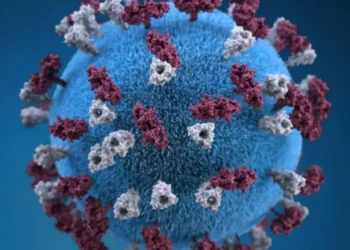 Measles case confirmed in Moncton; Health Department issues alert.
