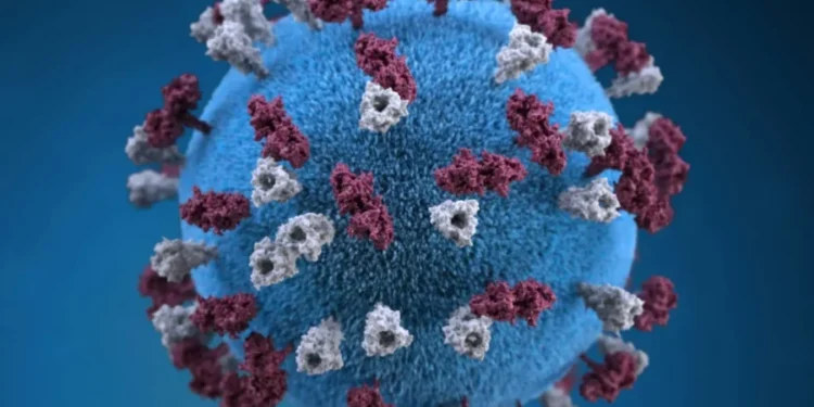 Measles case confirmed in Moncton; Health Department issues alert.