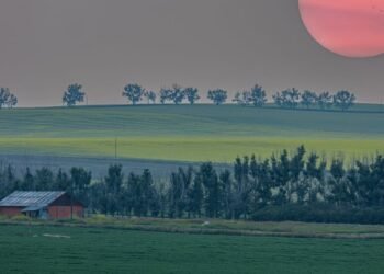 Calgary blanketed in wildfire smoke; air quality at critical levels.