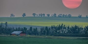 Calgary blanketed in wildfire smoke; air quality at critical levels.