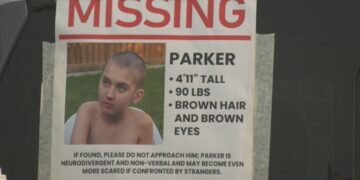 No results despite receiving over 500 tips: Search continues for missing 11-year-old in Calgary.